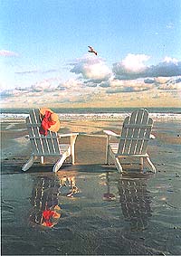 Relaxing chairs on a reflective beach, a gull overhead gliding on the breeze